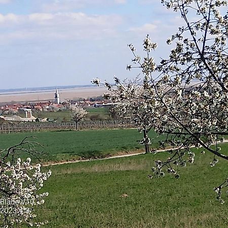 Ferienwohnung Zur Kirschblute Purbach am Neusiedlersee Buitenkant foto