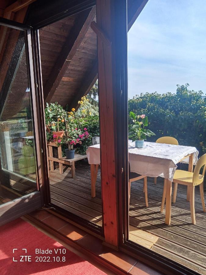 Ferienwohnung Zur Kirschblute Purbach am Neusiedlersee Buitenkant foto