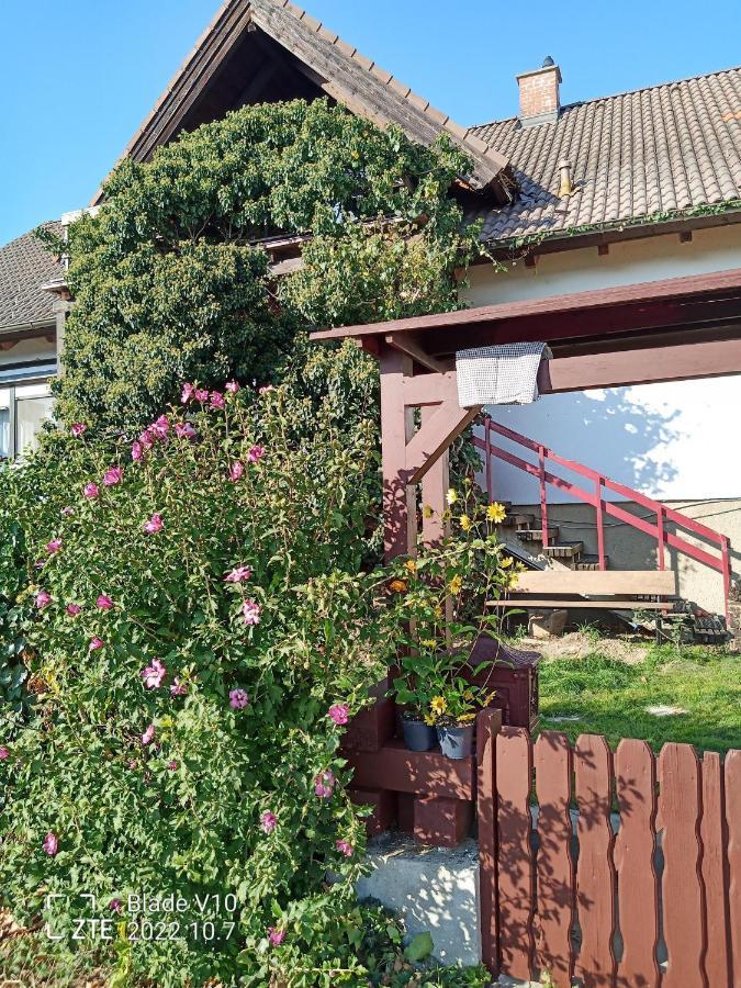 Ferienwohnung Zur Kirschblute Purbach am Neusiedlersee Buitenkant foto